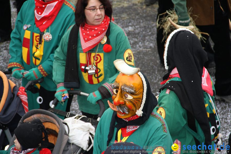 Narrentreffen: Rielasingen am Bodensee, 29.01.2012