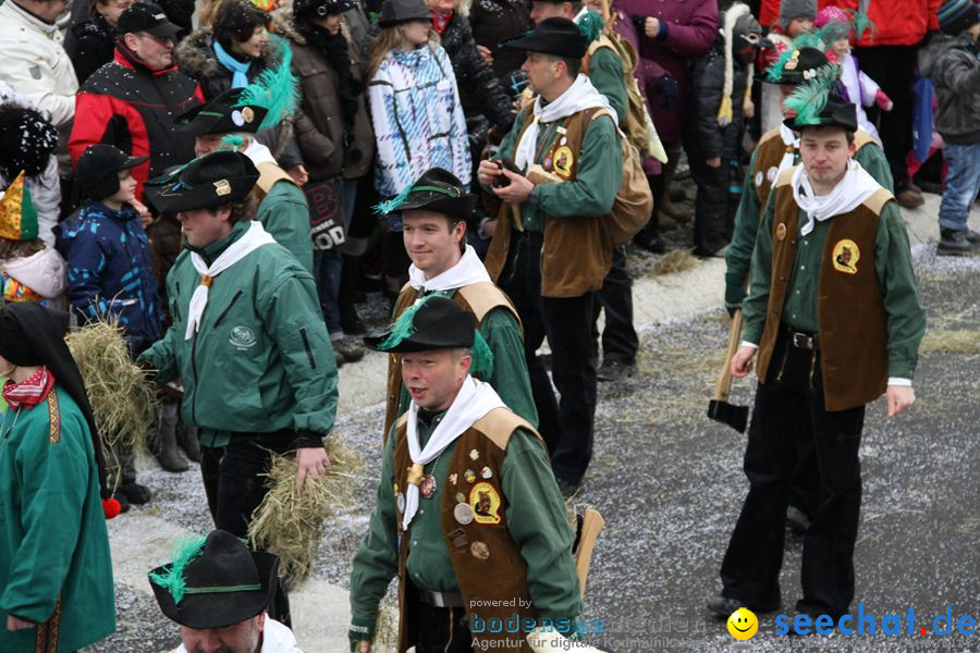 Narrentreffen: Rielasingen am Bodensee, 29.01.2012