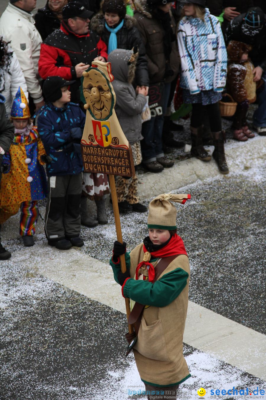 Narrentreffen: Rielasingen am Bodensee, 29.01.2012