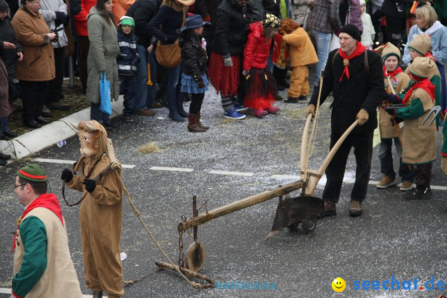 Narrentreffen: Rielasingen am Bodensee, 29.01.2012