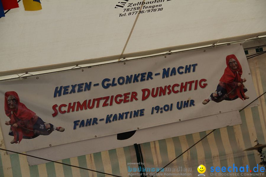 Narrentreffen: Rielasingen am Bodensee, 29.01.2012