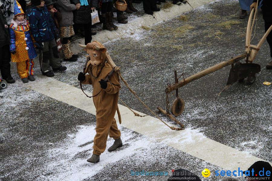 Narrentreffen: Rielasingen am Bodensee, 29.01.2012