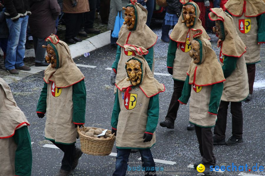 Narrentreffen: Rielasingen am Bodensee, 29.01.2012