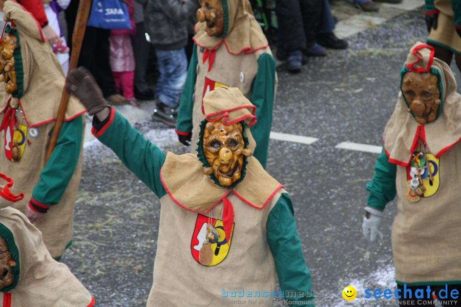 Narrentreffen: Rielasingen am Bodensee, 29.01.2012