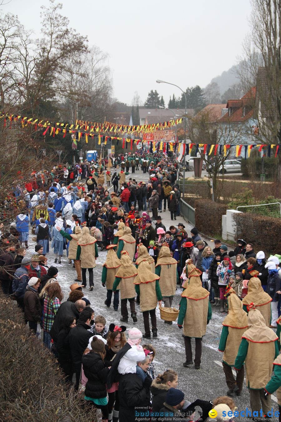 Narrentreffen: Rielasingen am Bodensee, 29.01.2012