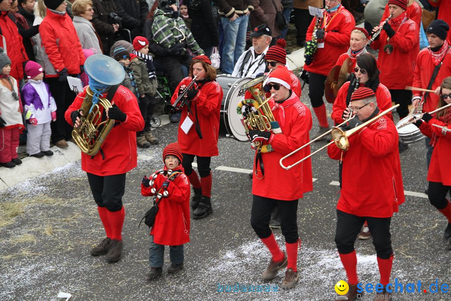 Narrentreffen: Rielasingen am Bodensee, 29.01.2012