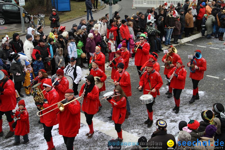 Narrentreffen: Rielasingen am Bodensee, 29.01.2012