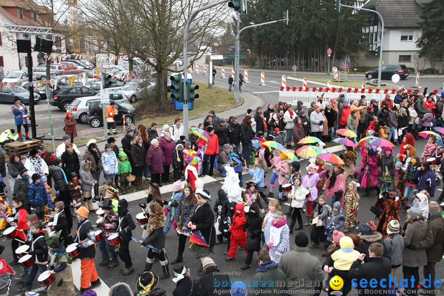 Narrentreffen: Rielasingen am Bodensee, 29.01.2012