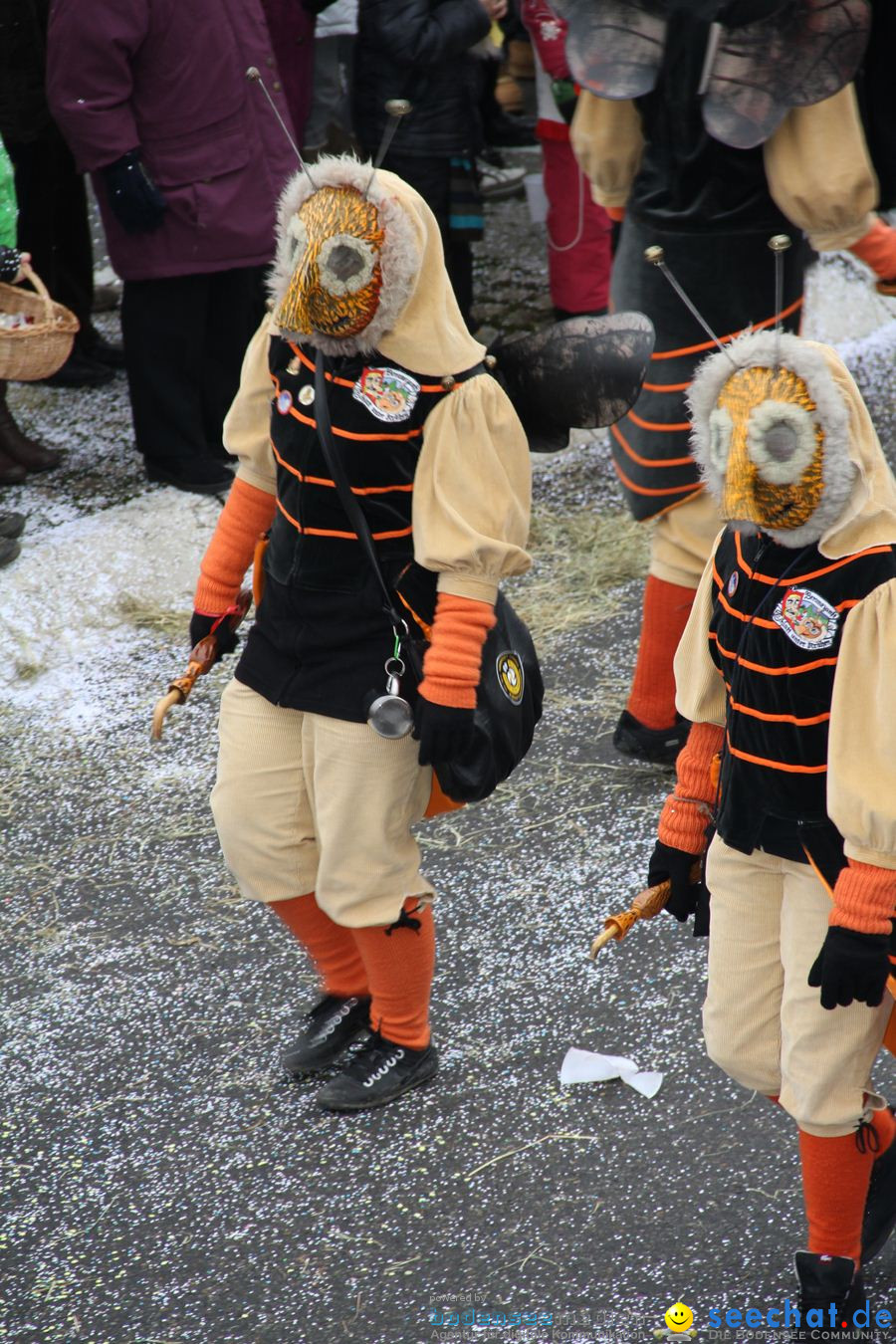 Narrentreffen: Rielasingen am Bodensee, 29.01.2012