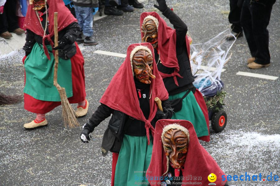 Narrentreffen: Rielasingen am Bodensee, 29.01.2012