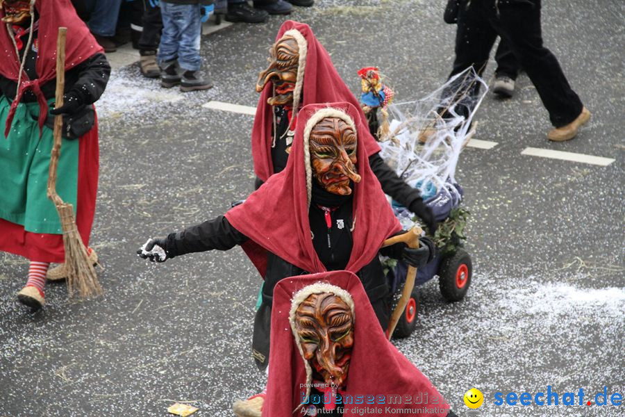 Narrentreffen: Rielasingen am Bodensee, 29.01.2012