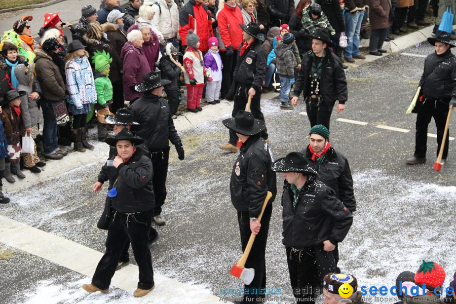 Narrentreffen: Rielasingen am Bodensee, 29.01.2012