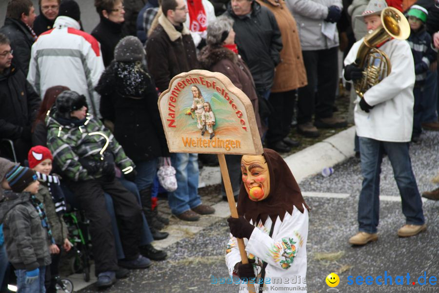 Narrentreffen: Rielasingen am Bodensee, 29.01.2012