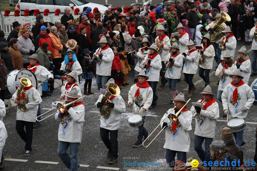 Narrentreffen: Rielasingen am Bodensee, 29.01.2012