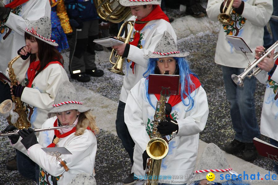 Narrentreffen: Rielasingen am Bodensee, 29.01.2012