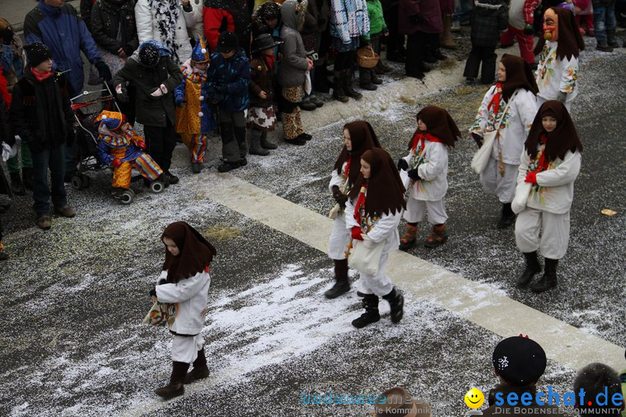 Narrentreffen: Rielasingen am Bodensee, 29.01.2012