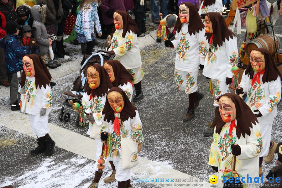 Narrentreffen: Rielasingen am Bodensee, 29.01.2012