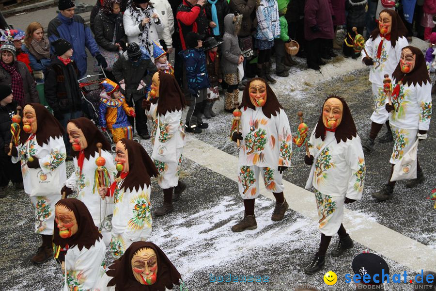 Narrentreffen: Rielasingen am Bodensee, 29.01.2012