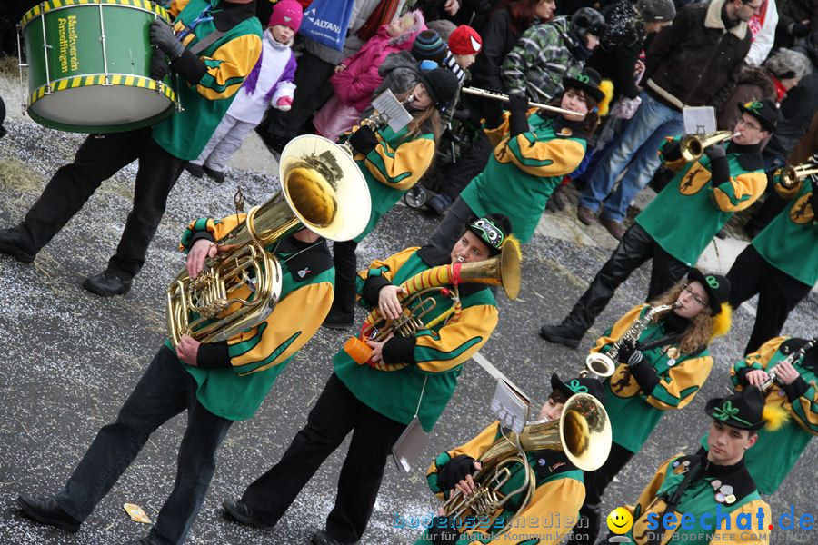 Narrentreffen: Rielasingen am Bodensee, 29.01.2012