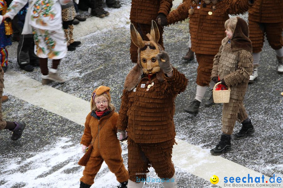 Narrentreffen: Rielasingen am Bodensee, 29.01.2012