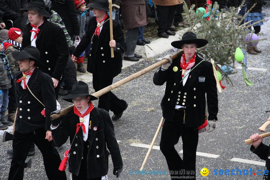 Narrentreffen: Rielasingen am Bodensee, 29.01.2012