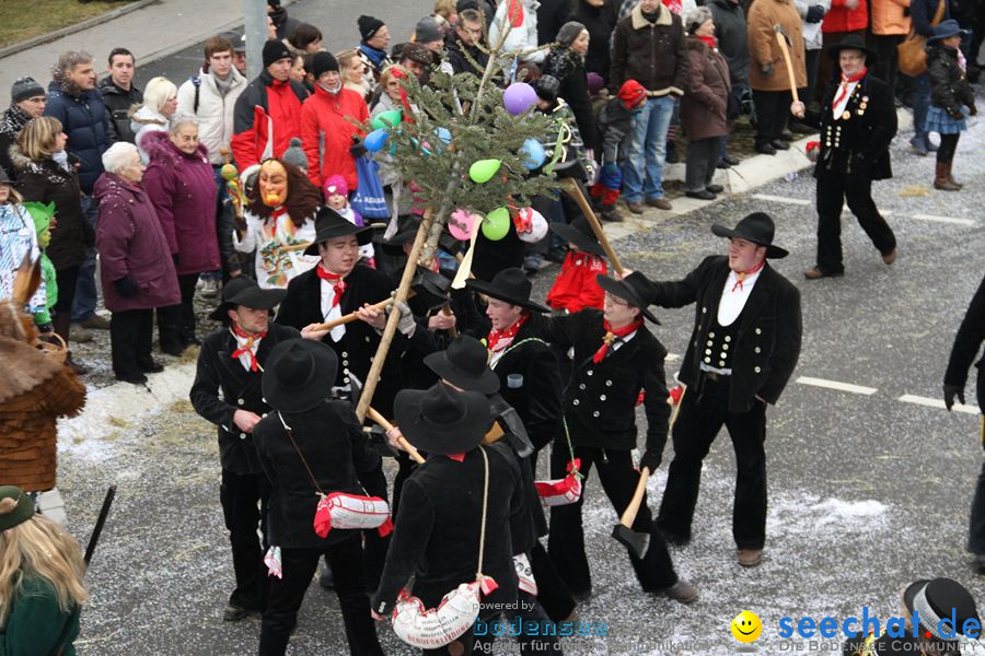 Narrentreffen: Rielasingen am Bodensee, 29.01.2012