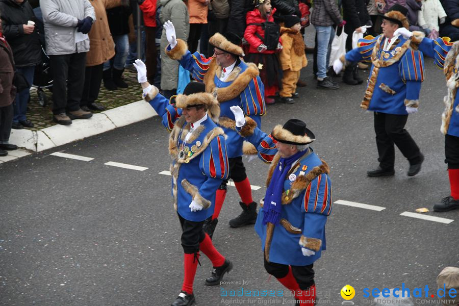 Narrentreffen: Rielasingen am Bodensee, 29.01.2012