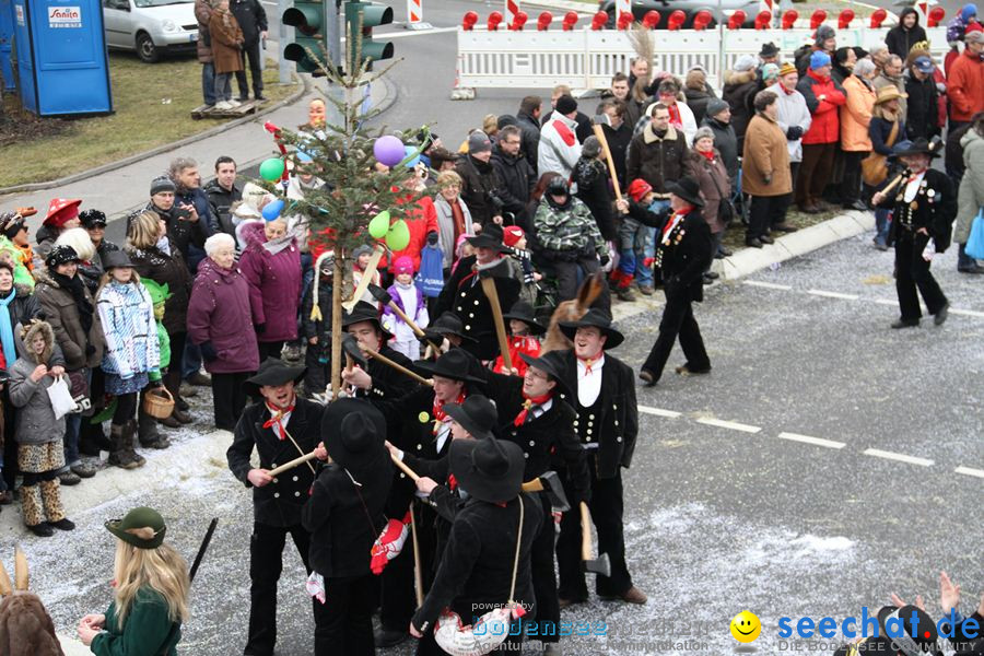 Narrentreffen: Rielasingen am Bodensee, 29.01.2012