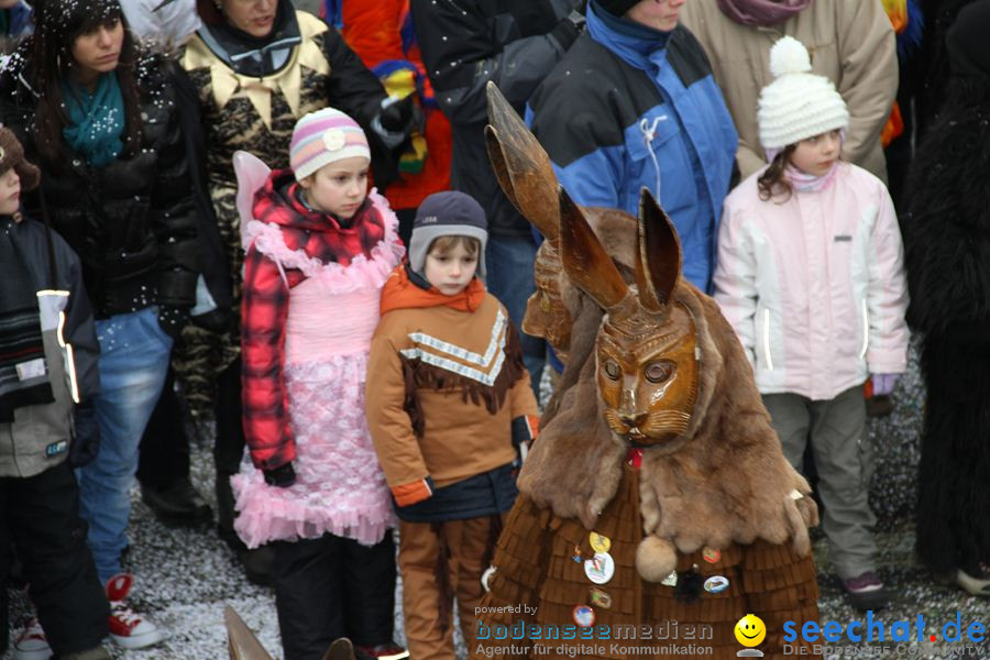 Narrentreffen: Rielasingen am Bodensee, 29.01.2012