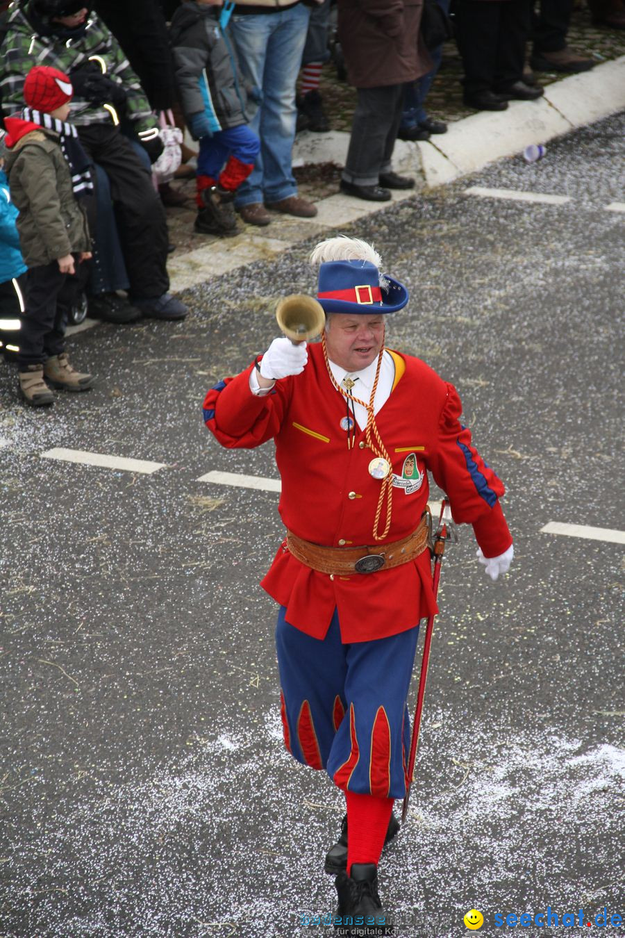 Narrentreffen: Rielasingen am Bodensee, 29.01.2012