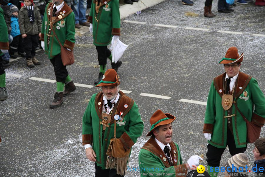 Narrentreffen: Rielasingen am Bodensee, 29.01.2012