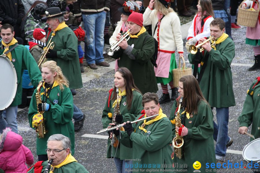 Narrentreffen: Rielasingen am Bodensee, 29.01.2012