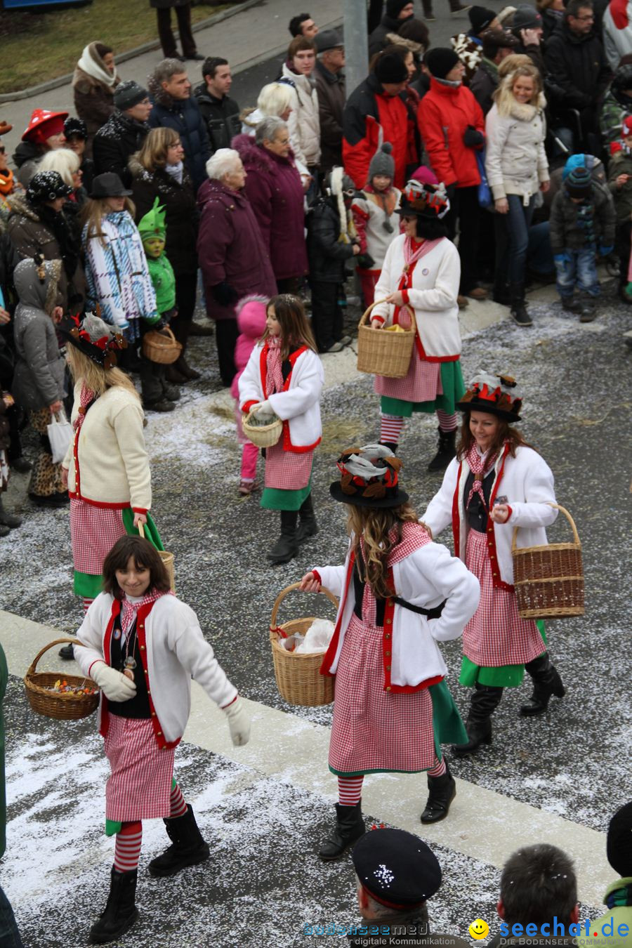 Narrentreffen: Rielasingen am Bodensee, 29.01.2012