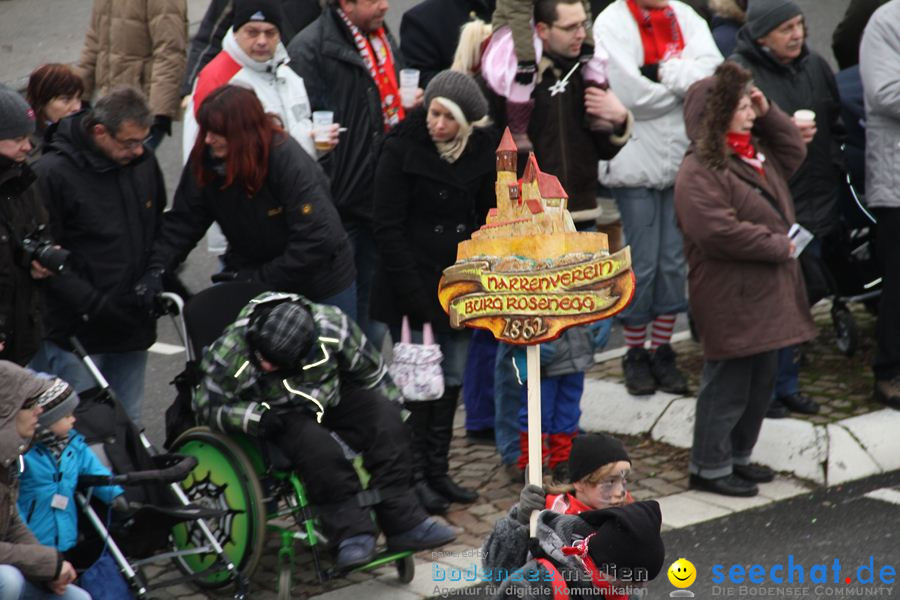 Narrentreffen: Rielasingen am Bodensee, 29.01.2012