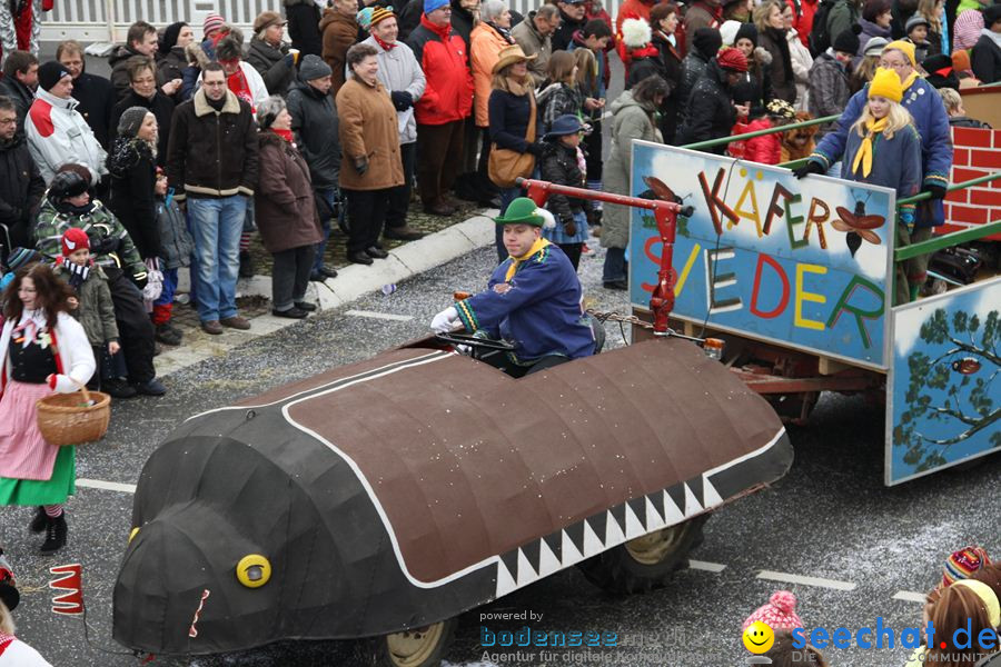 Narrentreffen: Rielasingen am Bodensee, 29.01.2012