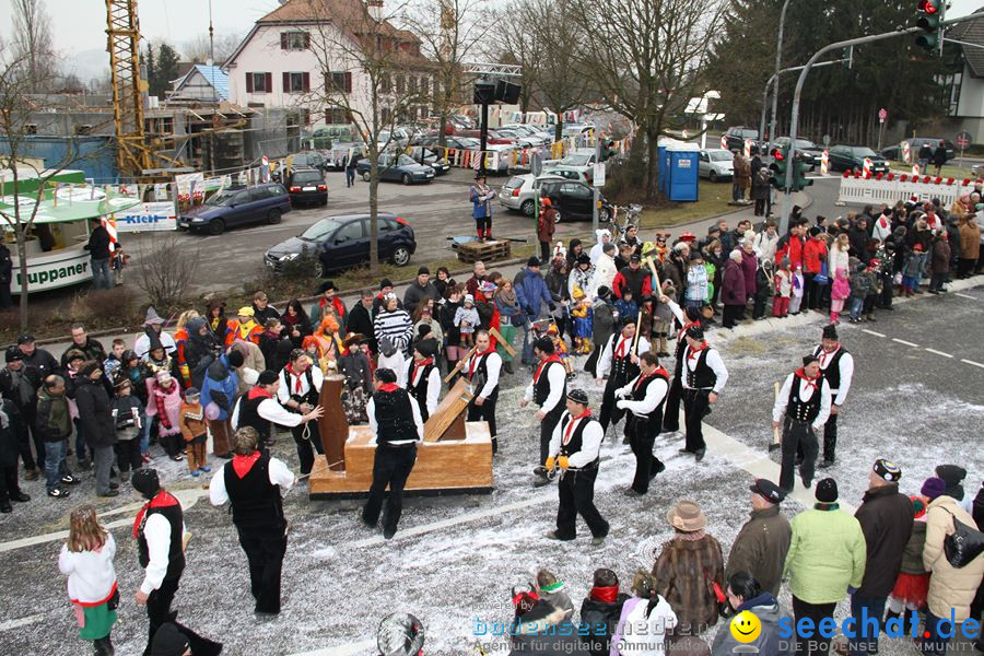 Narrentreffen: Rielasingen am Bodensee, 29.01.2012