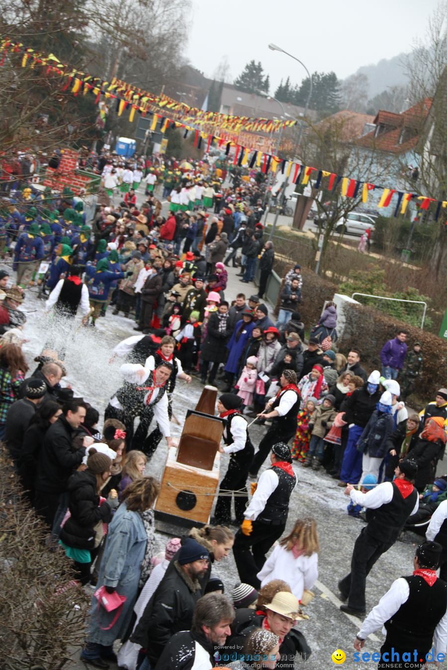 Narrentreffen: Rielasingen am Bodensee, 29.01.2012