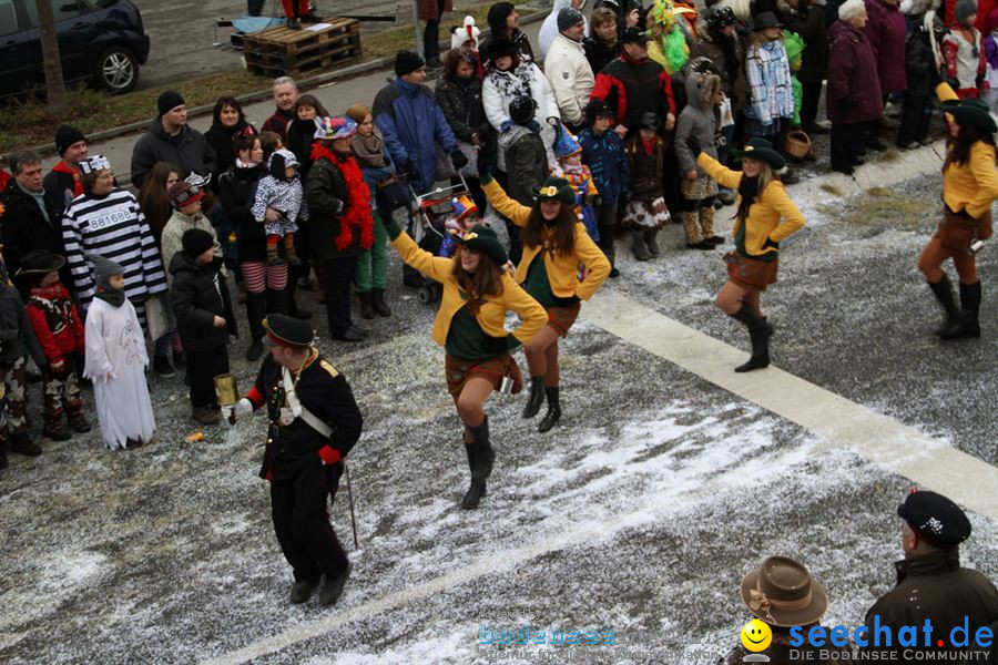 Narrentreffen: Rielasingen am Bodensee, 29.01.2012