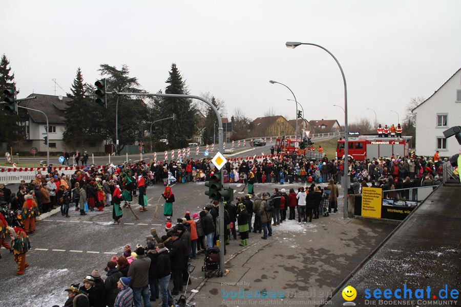 Narrentreffen: Rielasingen am Bodensee, 29.01.2012