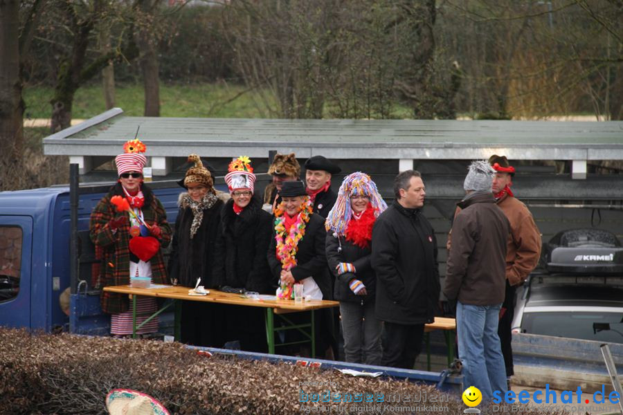 Narrentreffen: Rielasingen am Bodensee, 29.01.2012