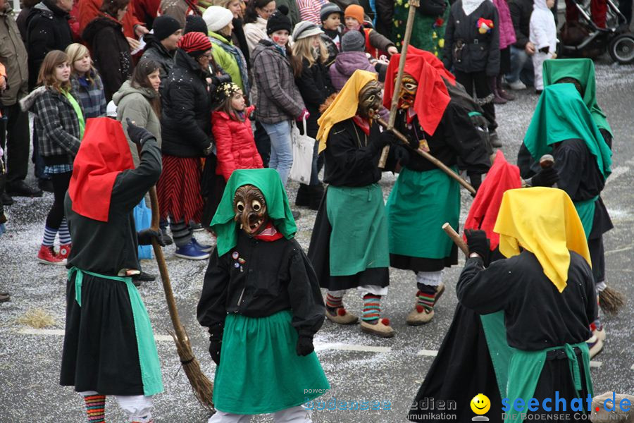 Narrentreffen: Rielasingen am Bodensee, 29.01.2012