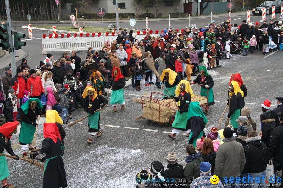 Narrentreffen: Rielasingen am Bodensee, 29.01.2012