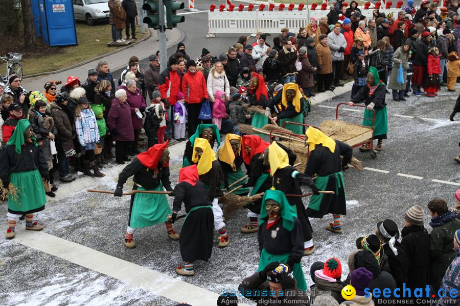 Narrentreffen: Rielasingen am Bodensee, 29.01.2012