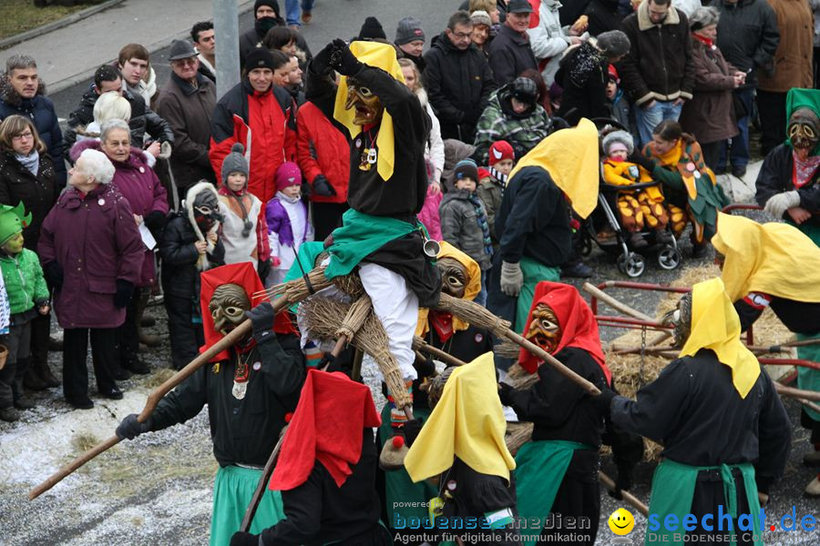 Narrentreffen: Rielasingen am Bodensee, 29.01.2012