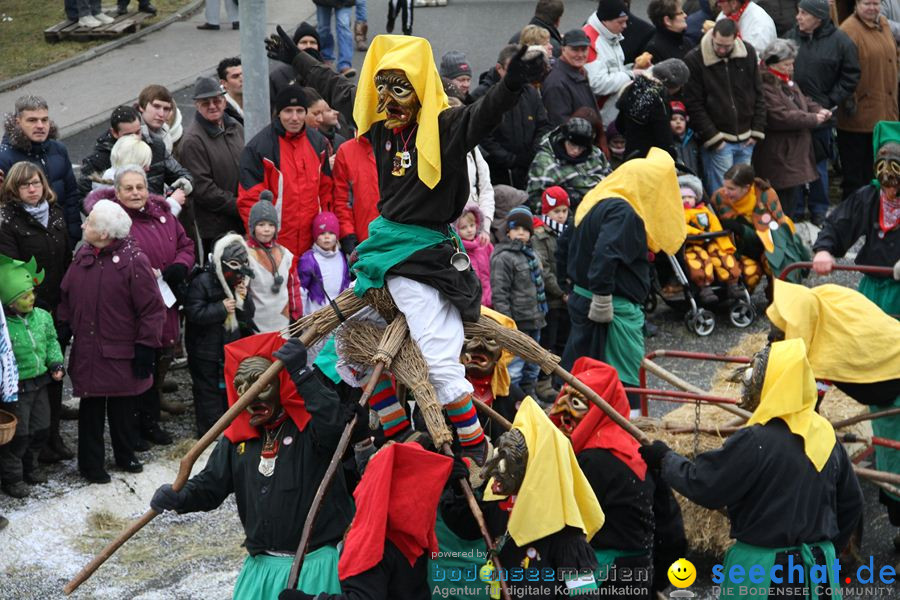 Narrentreffen: Rielasingen am Bodensee, 29.01.2012