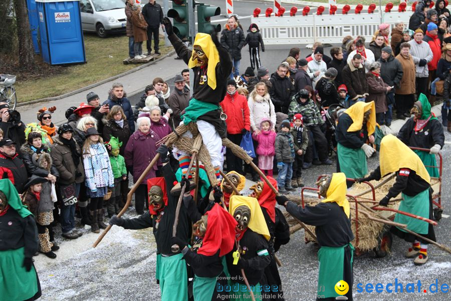 Narrentreffen: Rielasingen am Bodensee, 29.01.2012