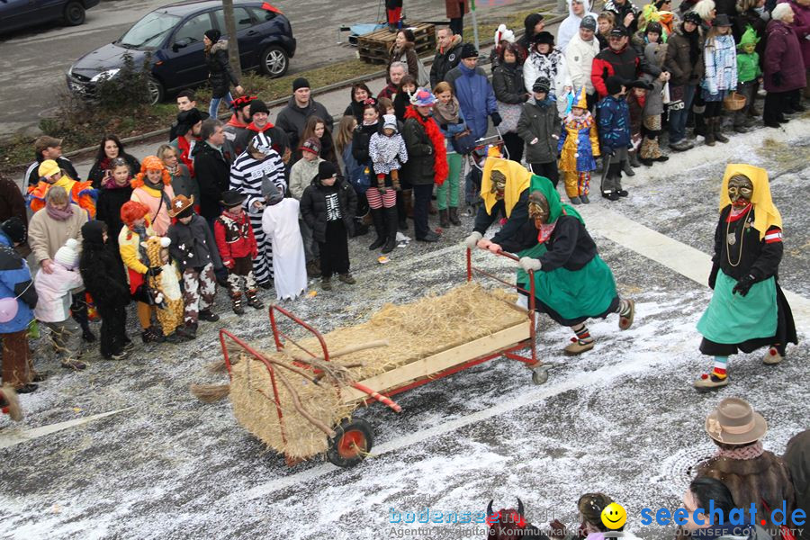 Narrentreffen: Rielasingen am Bodensee, 29.01.2012