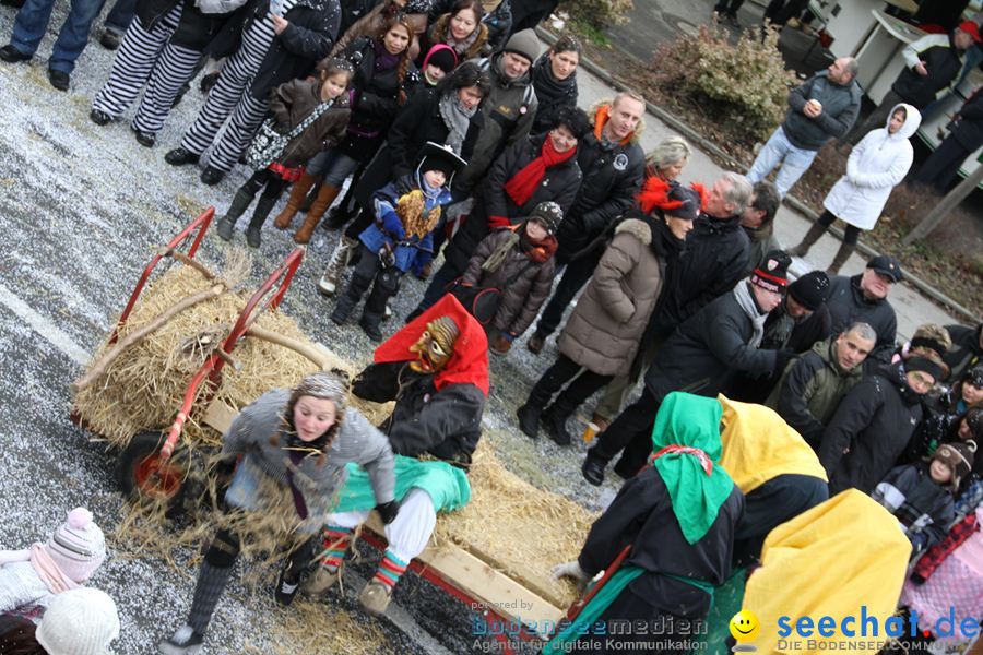 Narrentreffen: Rielasingen am Bodensee, 29.01.2012