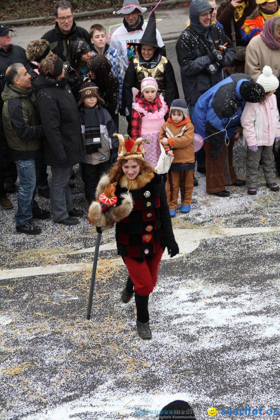 Narrentreffen: Rielasingen am Bodensee, 29.01.2012