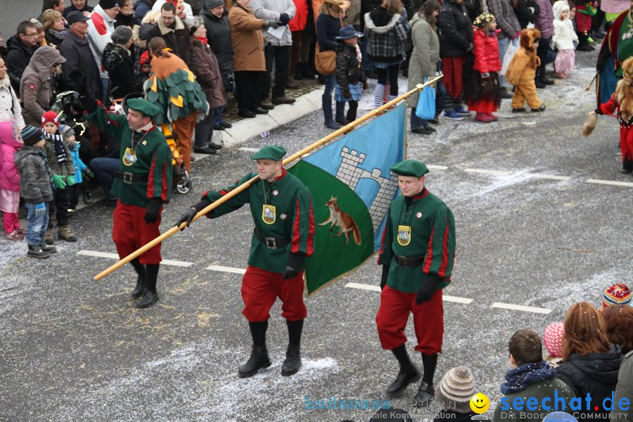 Narrentreffen: Rielasingen am Bodensee, 29.01.2012